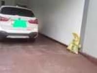 Sample 22 – X1 car