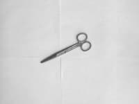Sample 2 – Straight scissor