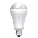 Sample 1 – Light bulb