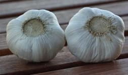 Sample 3 – Garlic