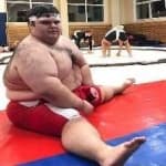 Sample 3 – Sumo wrestling