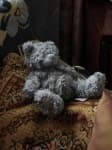 Sample 6 – Teddy