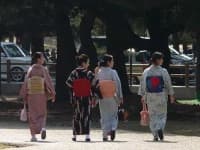 Sample 6 – Kimono