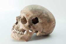 Sample 2 – Skull