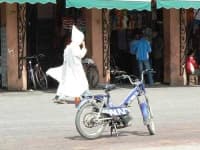 Sample 3 – Moped
