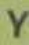 Sample 3 – Y capital letter