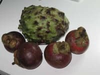 Sample 3 – Custard apple