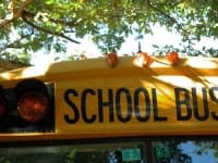 Sample 6 – School bus
