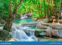 Sample 2 – Tropical forest
