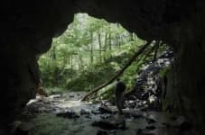 Sample of Cave