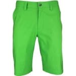 Sample of Green shorts