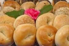 Sample 5 – Bagel