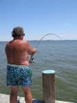 Sample of Swimming trunks