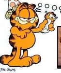 Sample 5 – Garfield