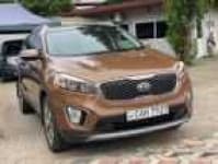 Sample 8 – Sorento car