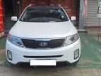 Sample 13 – Sorento car