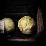 Sample 1 – Head cabbage