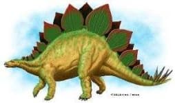 Sample 3 – Stegosaurus