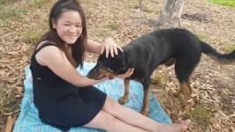 Sample 3 – People play with dog