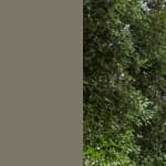 Sample 3 – Foliage