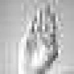 Sample 12 – Hand sign b