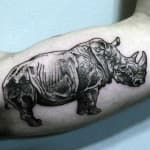Sample 3 – Rhinoceros