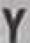 Sample 5 – Y capital letter