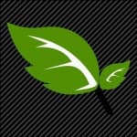 Sample 5 – Leaf