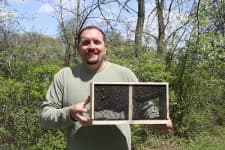 Sample 3 – Apiary