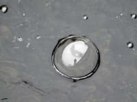 Sample 2 – Bubble