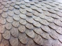 Sample 3 – Scaly