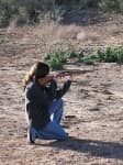 Sample 1 – Rifle