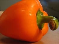 Sample 5 – Vegetables