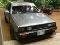 Sample 12 – Carina car