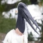 Sample 4 – Jabiru