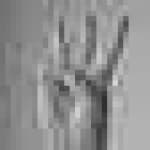 Sample 2 – Hand sign w