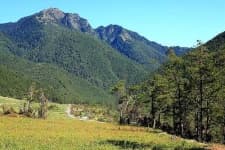 Sample 1 – Valley