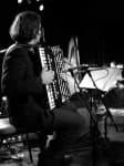 Sample 2 – Accordion