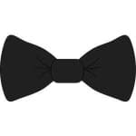 Sample 4 – Bowtie