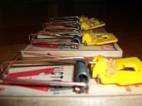 Sample 2 – Mousetrap