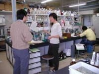 Sample 1 – Laboratorywet