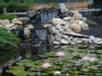 Sample 3 – Pond