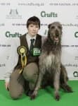 Sample 1 – Scottish deerhound