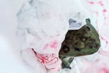 Sample 1 – Plastic bag