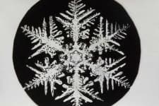 Sample 2 – Snowflake