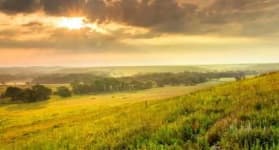 Sample 1 – Prairie
