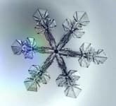 Sample 4 – Snowflake