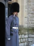 Sample 6 – Bearskin