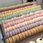 Sample 1 – Macarons