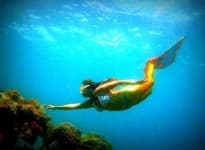 Sample 5 – Mermaid